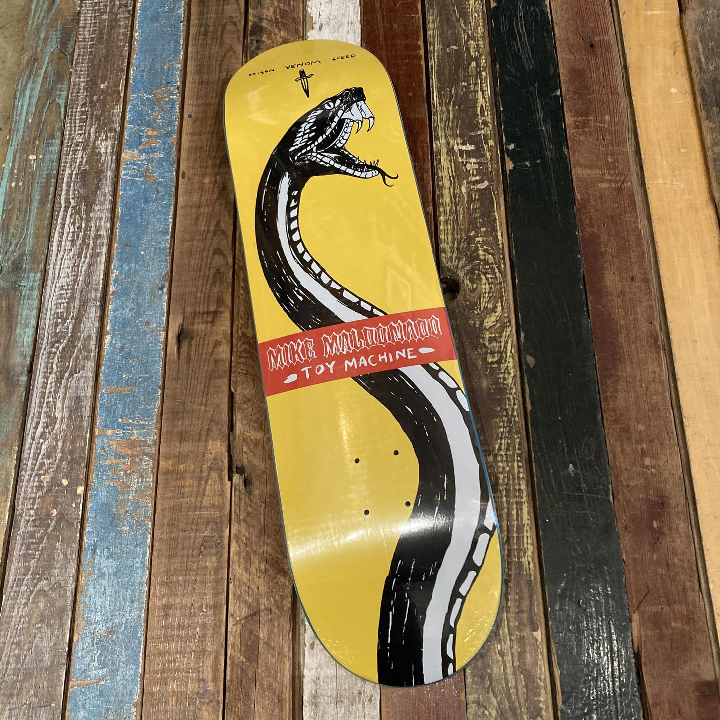 TM 8.38 MALDONADO SNAKE