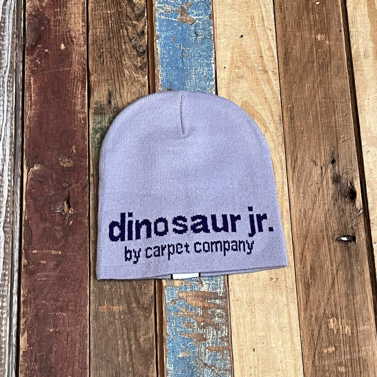 Carpet Company X Dino Jr Beanie