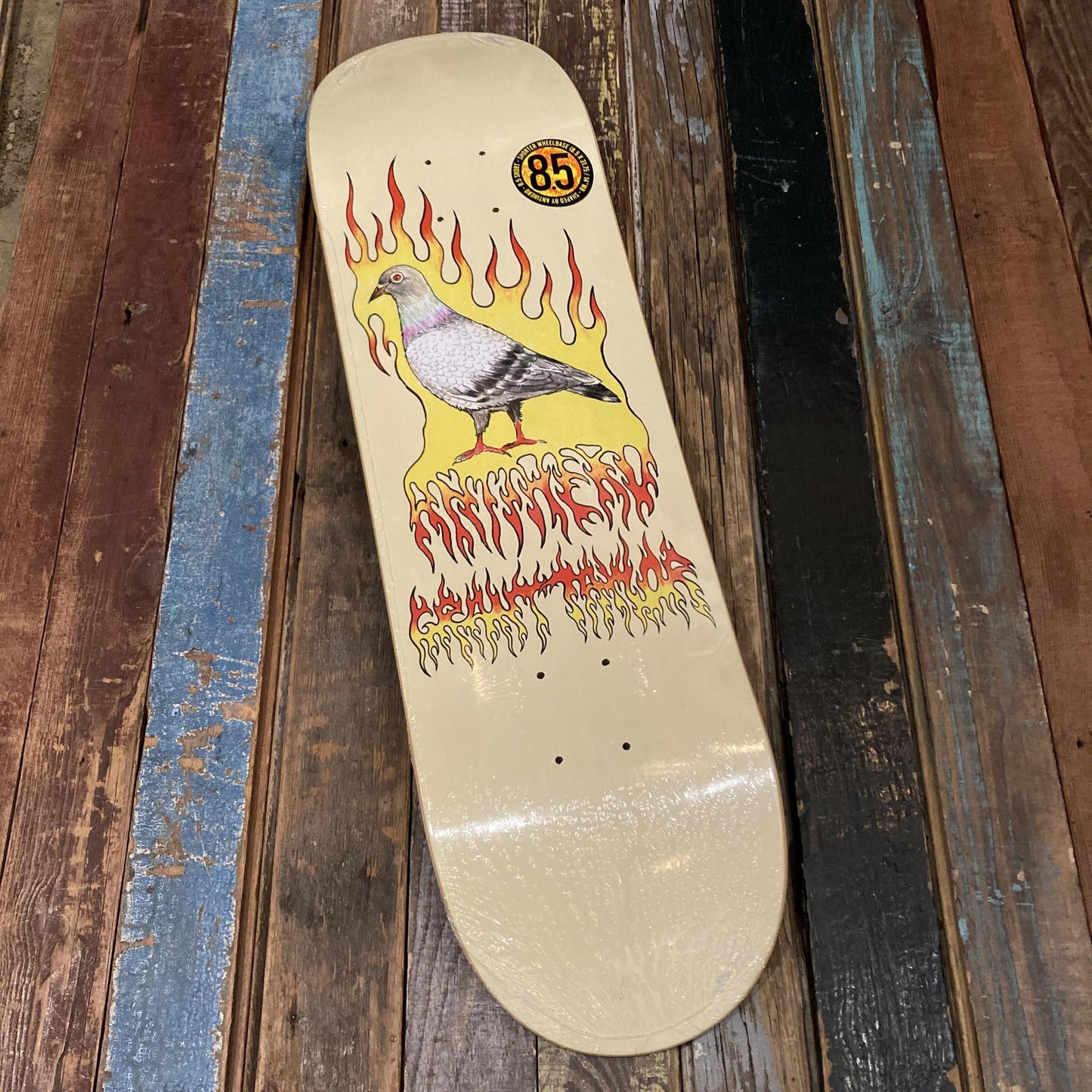 AH BRD GRANT PIGEON VIS 8.5