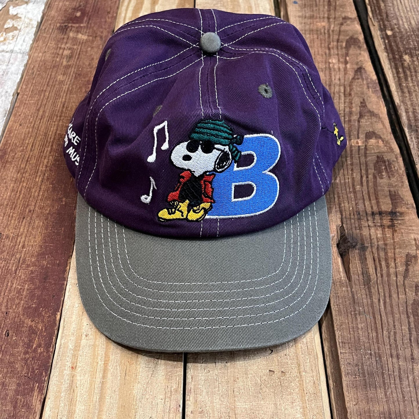 Music Snapback Cap