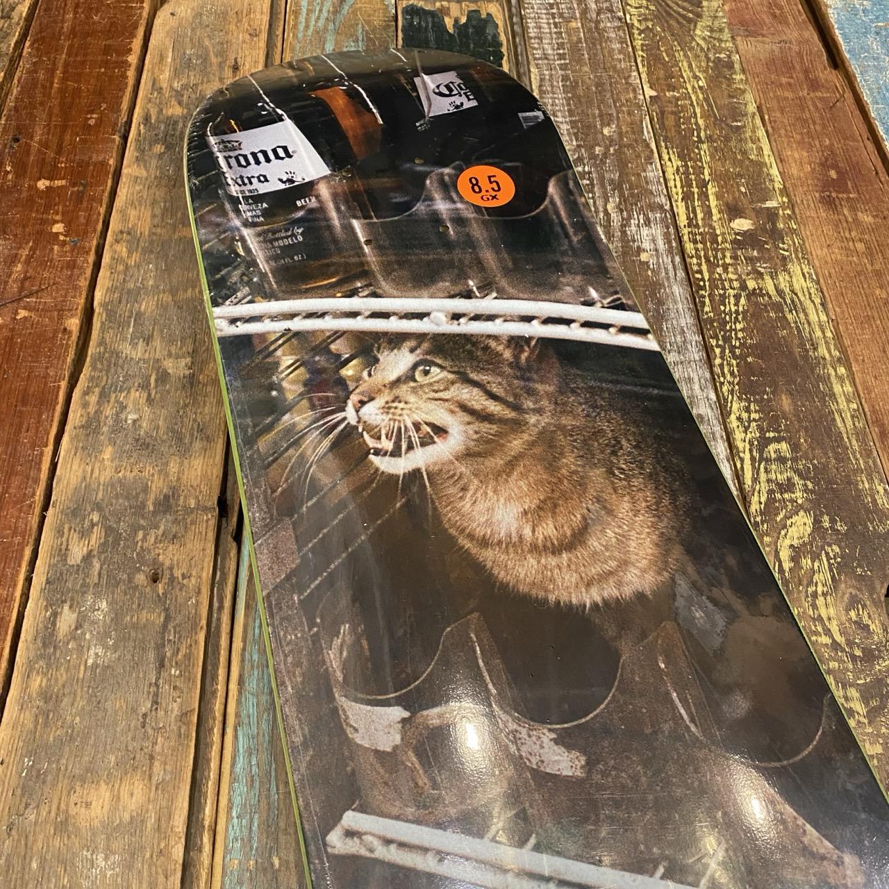 GX1000 Bodega Cat - 8.5"