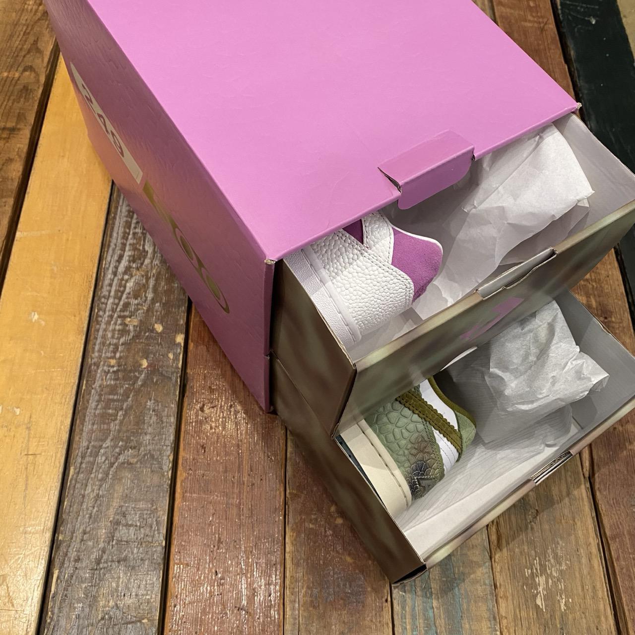 Alexis Sablone Chameleon Pack Double Box Set (Nike SB Dunk Low & Converse CONS AS-1 Pro)