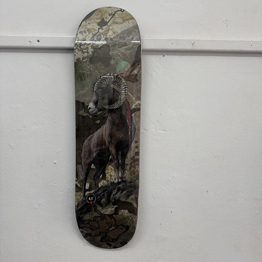 ZERO RealTree Bighorn Arunski 8.5" Deck