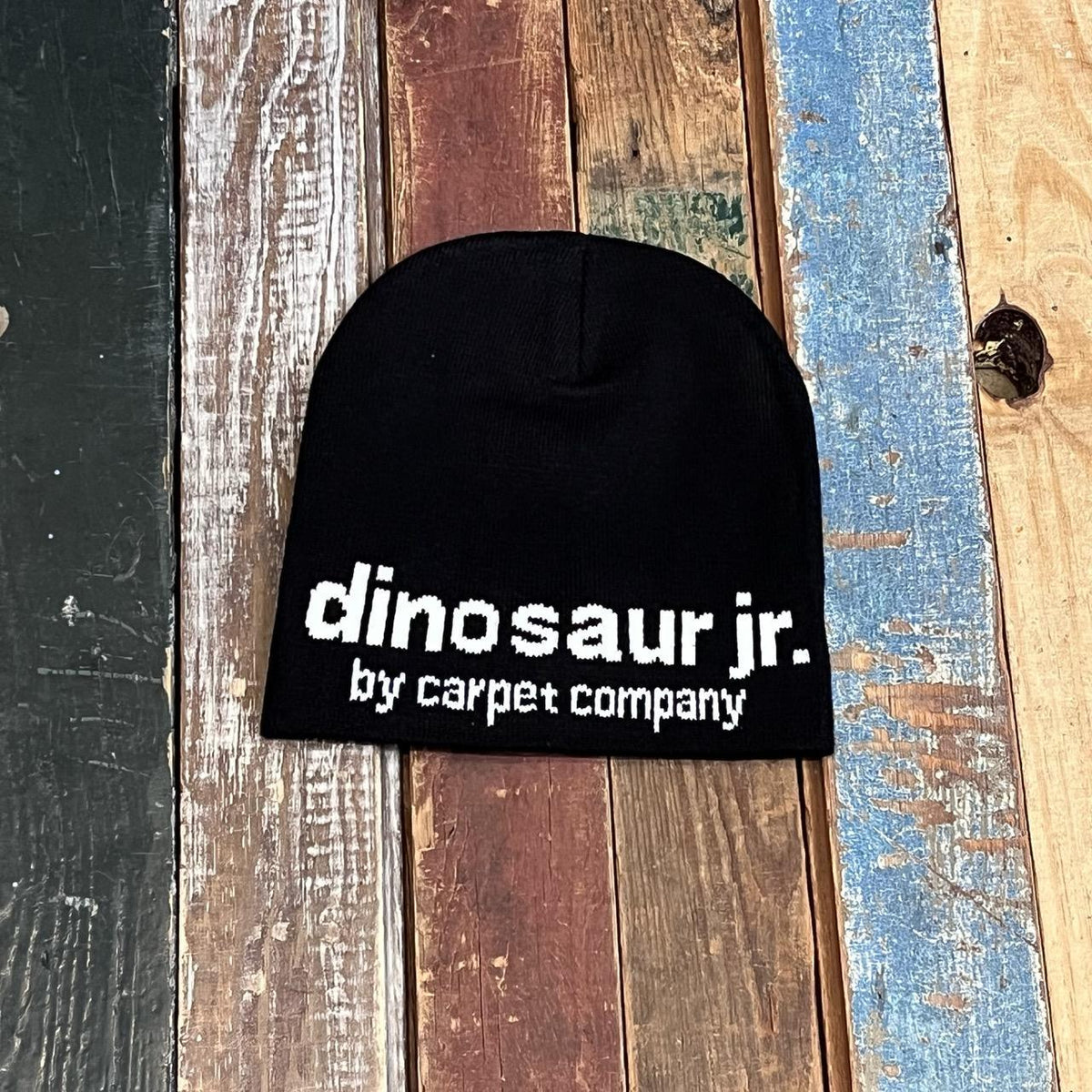 Carpet Company X Dino Jr Beanie