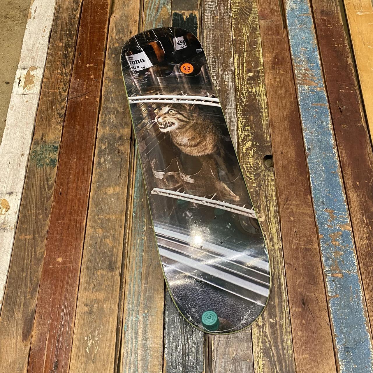 GX1000 Bodega Cat - 8.5"