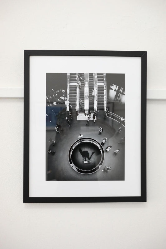 Escalator Scene Photo Print By Jake Darwen