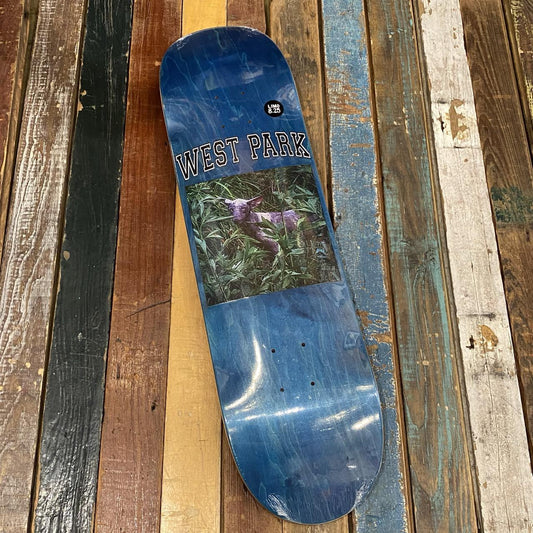 Angel - Aaron Loreth Deck (Assorted)