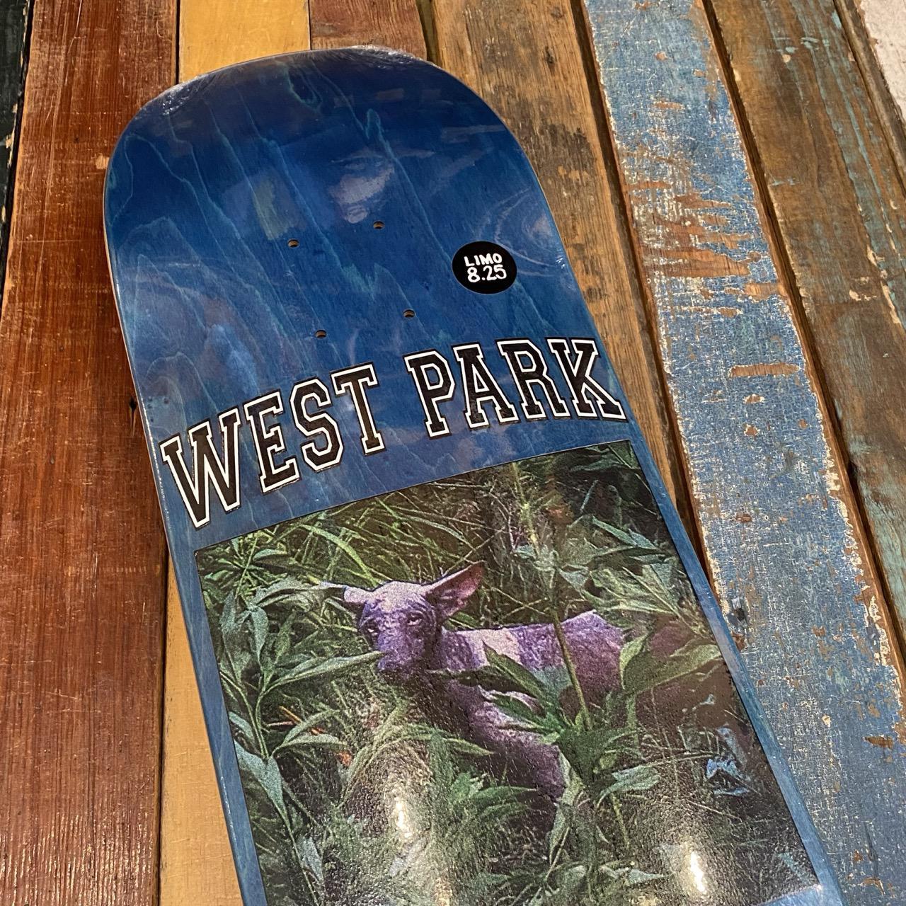 Angel - Aaron Loreth Deck (Assorted)