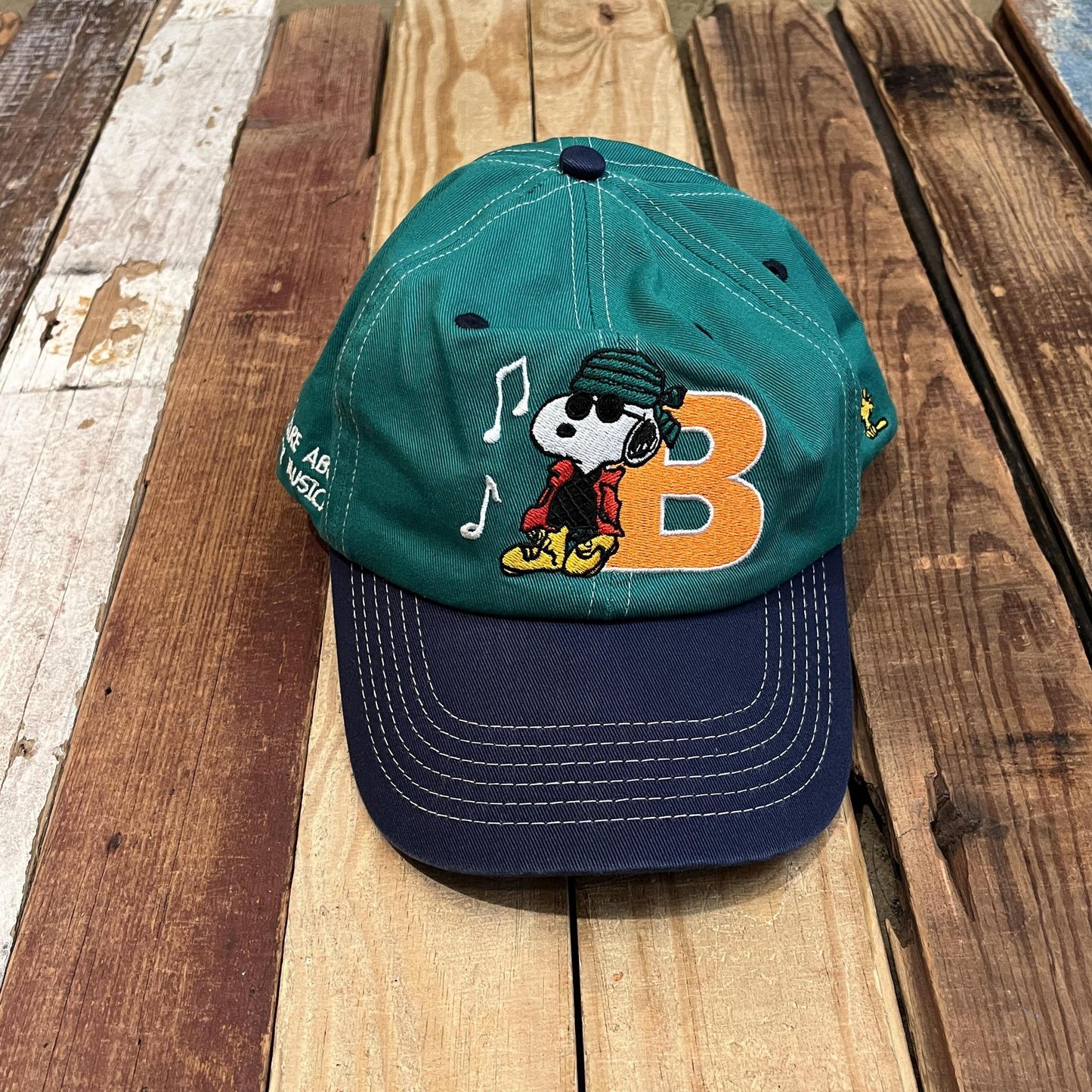 Music Snapback Cap